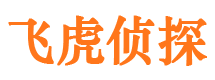 张北外遇调查取证